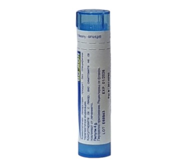 SABADILLA OFFICINALIS 9 CH